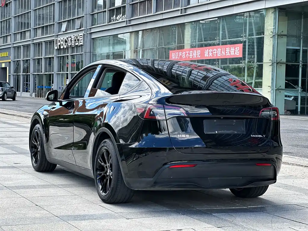 Tesla Model Y — миниатюра 4