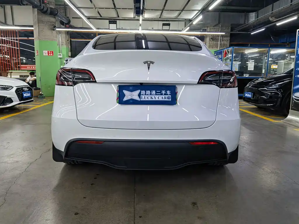 Tesla Model Y — миниатюра 5