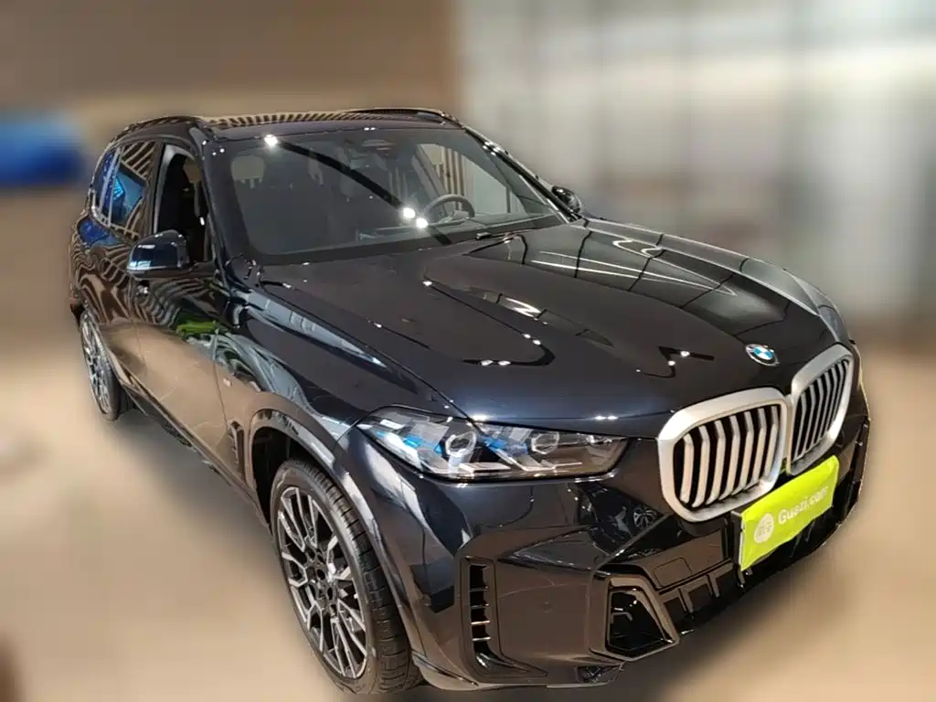 BMW X5 — миниатюра 6