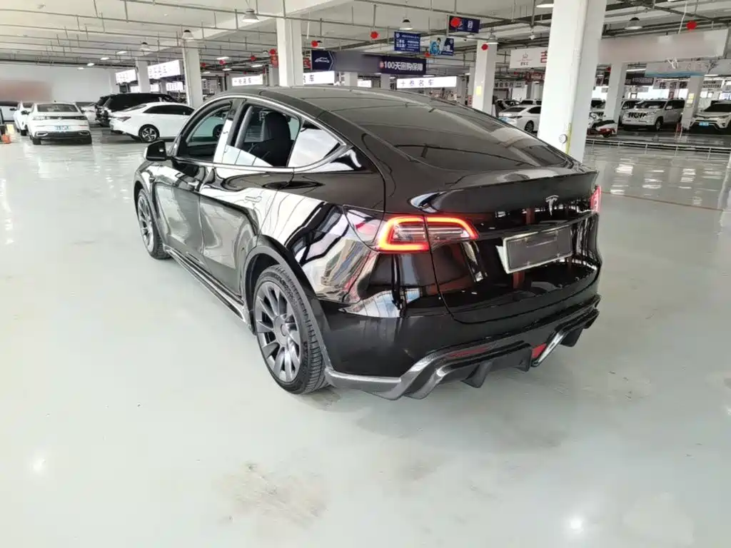 Tesla Model Y — миниатюра 5