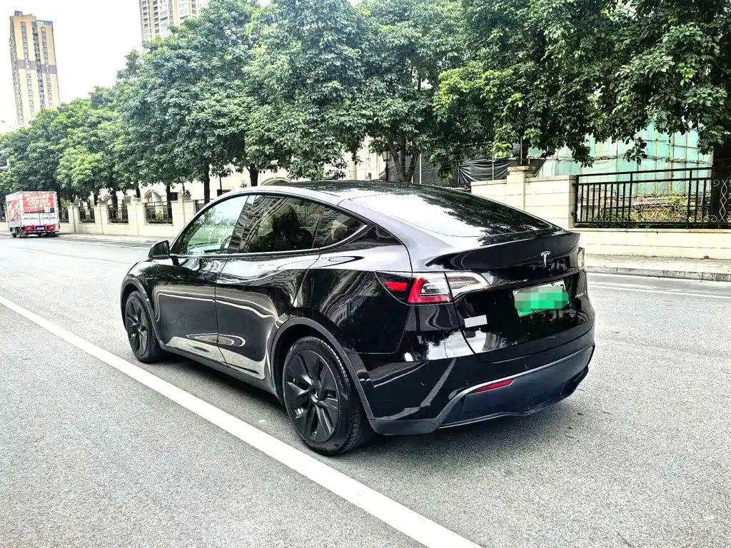 Tesla Model Y — миниатюра 5