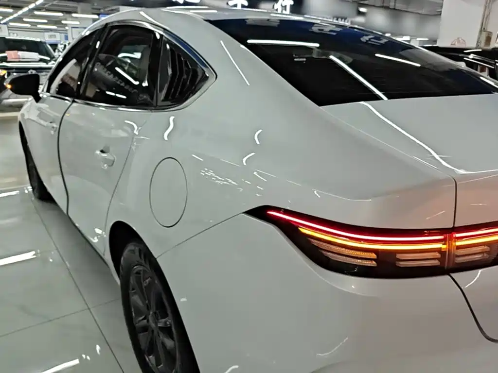BYD Destroyer 05 — миниатюра 5