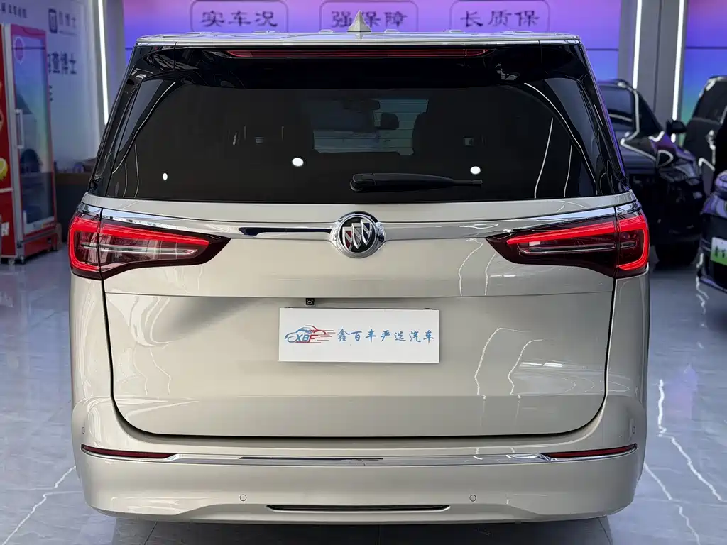 Buick GL8 — миниатюра 10