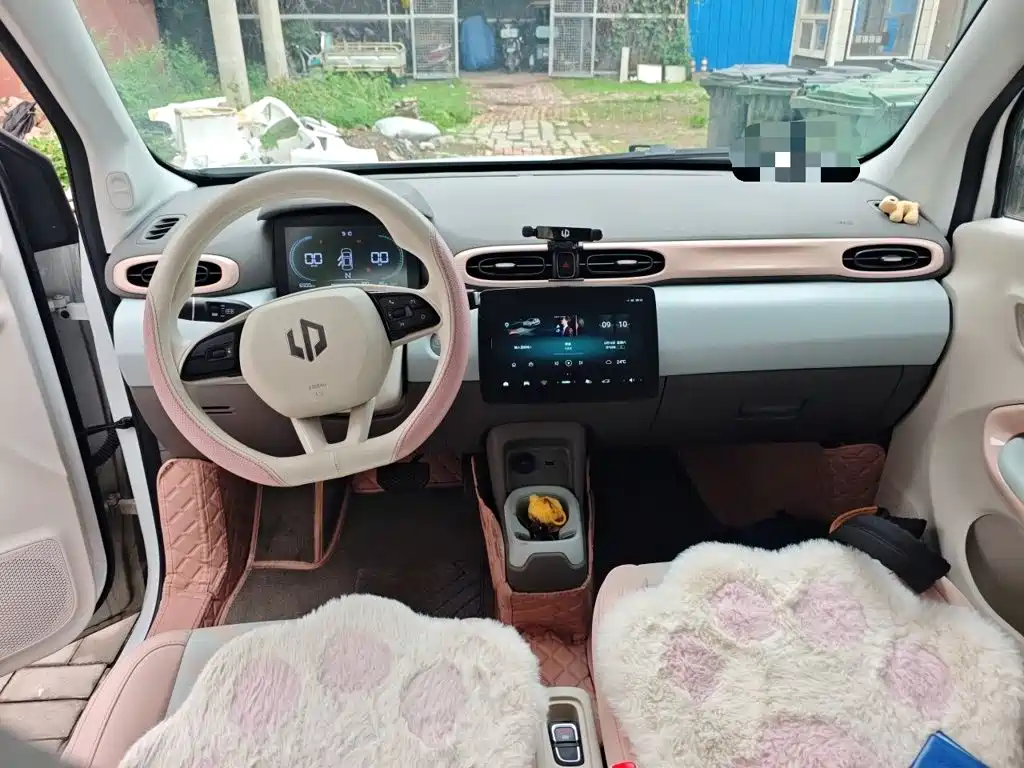 Leapmotor T03 2025 310