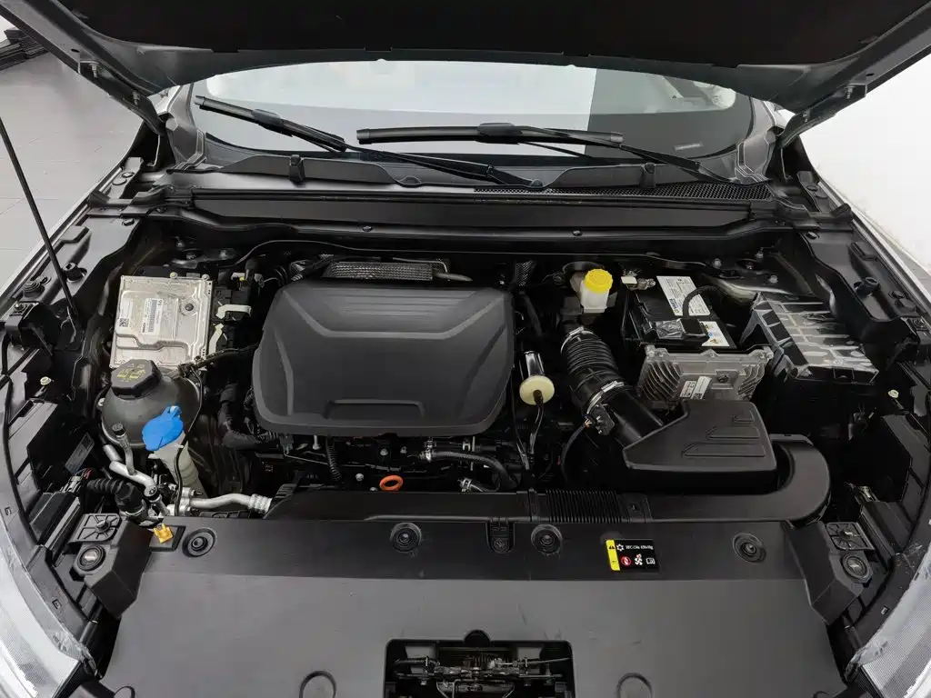 Haval Chitu — миниатюра 6