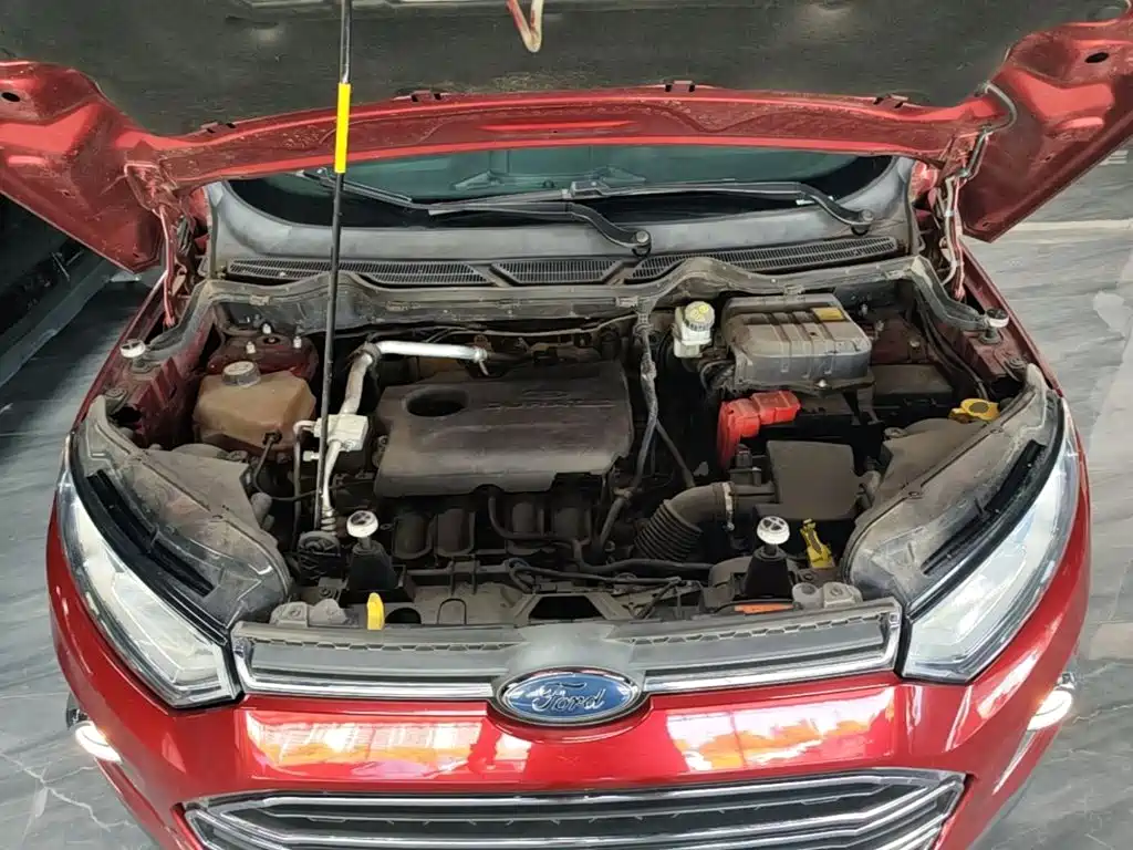 Ford Ecosport — миниатюра 20