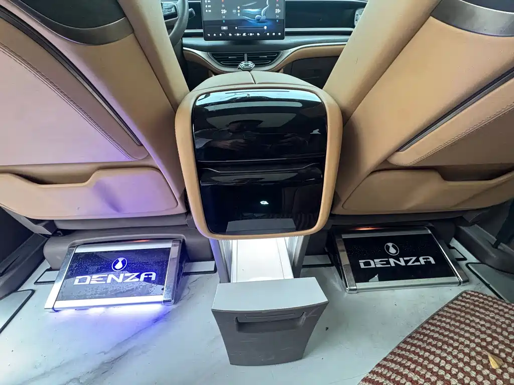 Denza Denza D9 — миниатюра 12