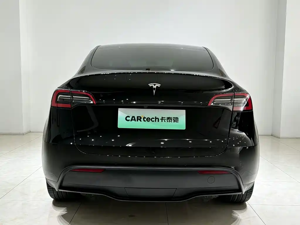 Tesla Model Y — миниатюра 17