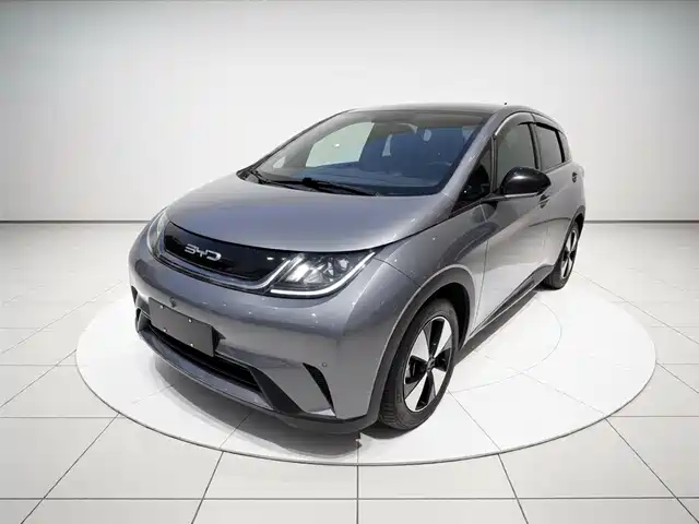 2023 BYD Dolphin