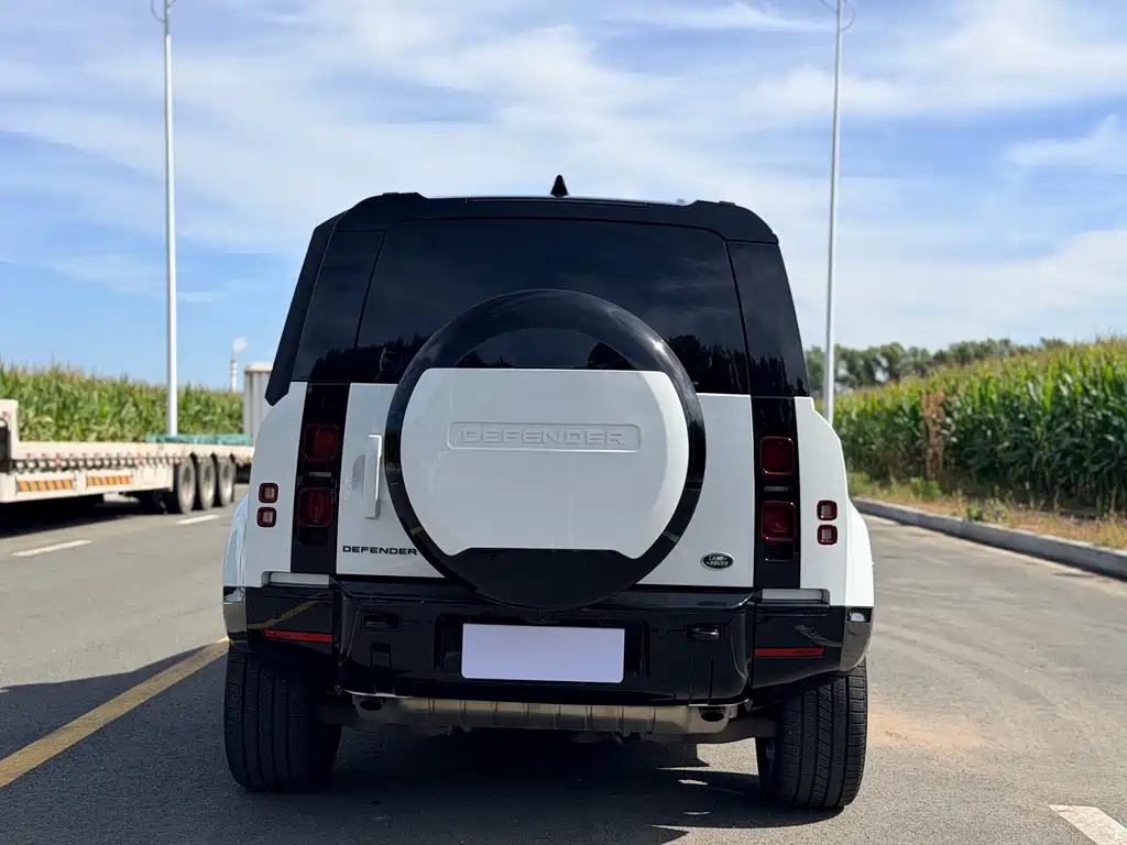 Land Rover Defender — миниатюра 15