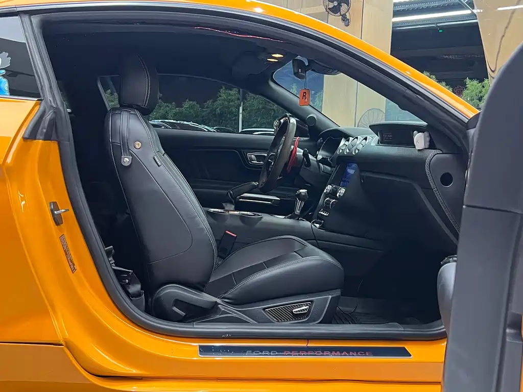Ford Mustang — миниатюра 25