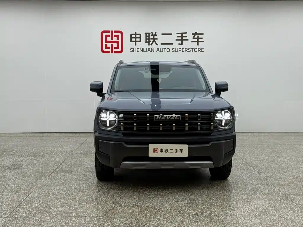 Haval Cool Dog — миниатюра 5