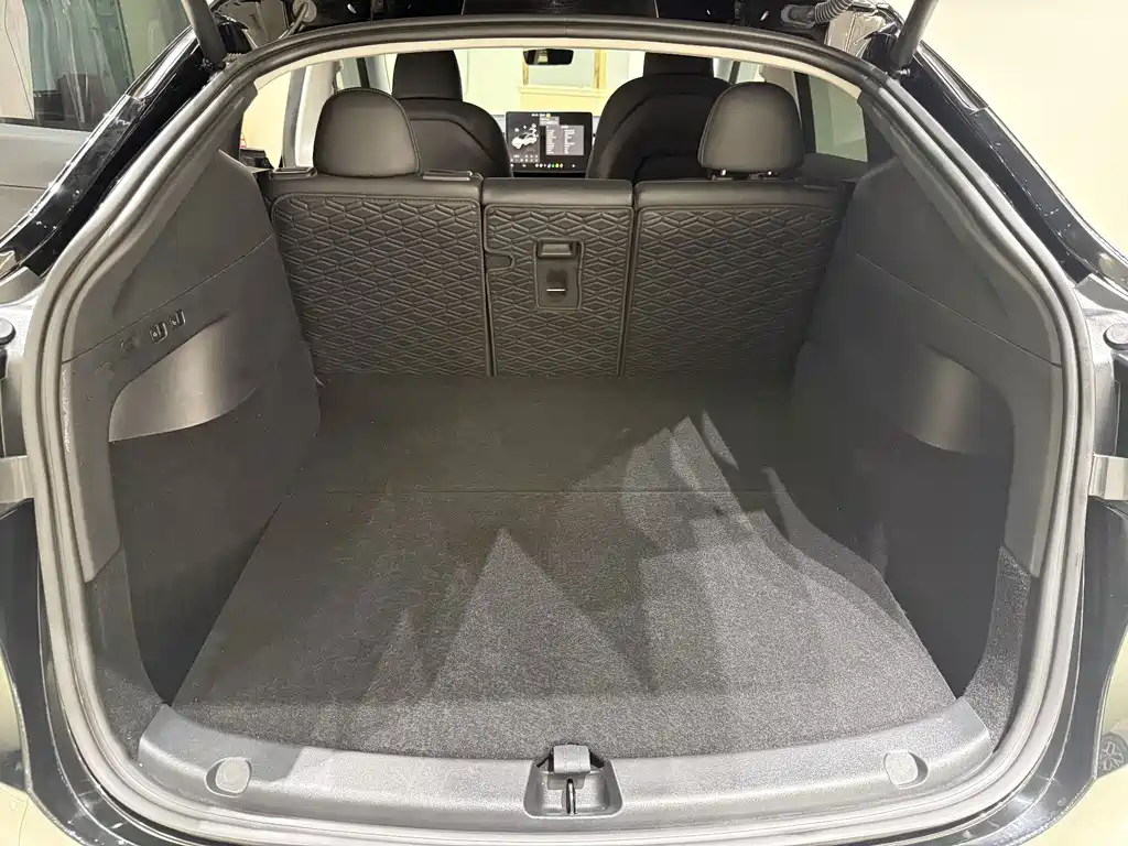 Tesla Model Y — миниатюра 14