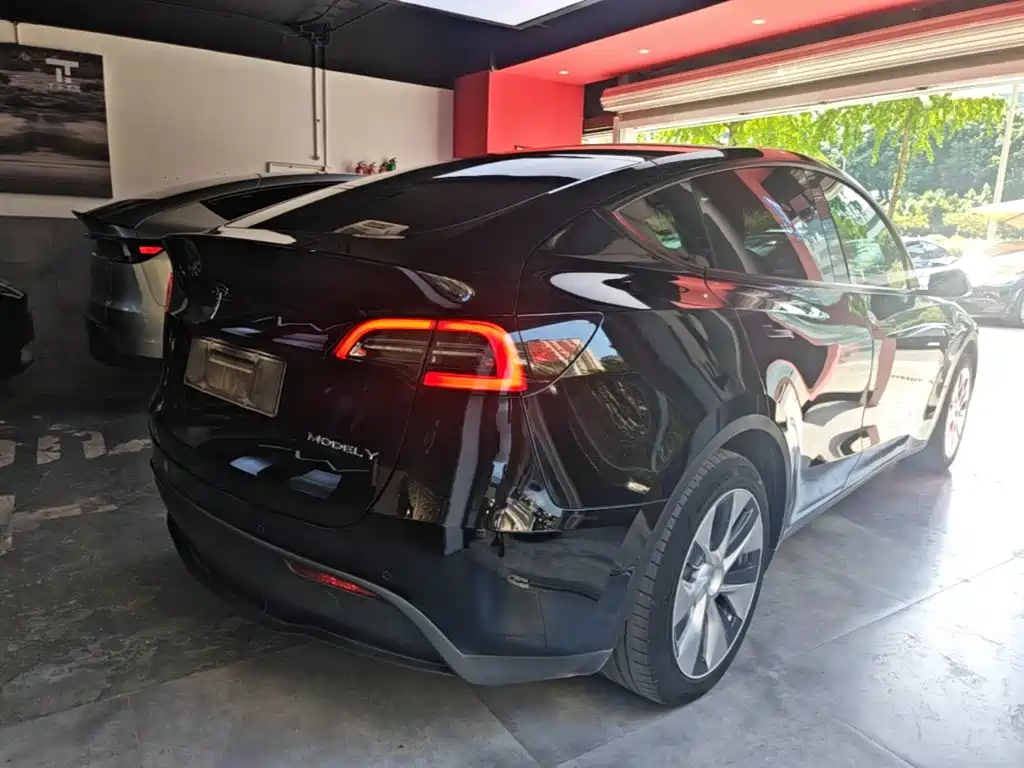 Tesla Model Y — миниатюра 7