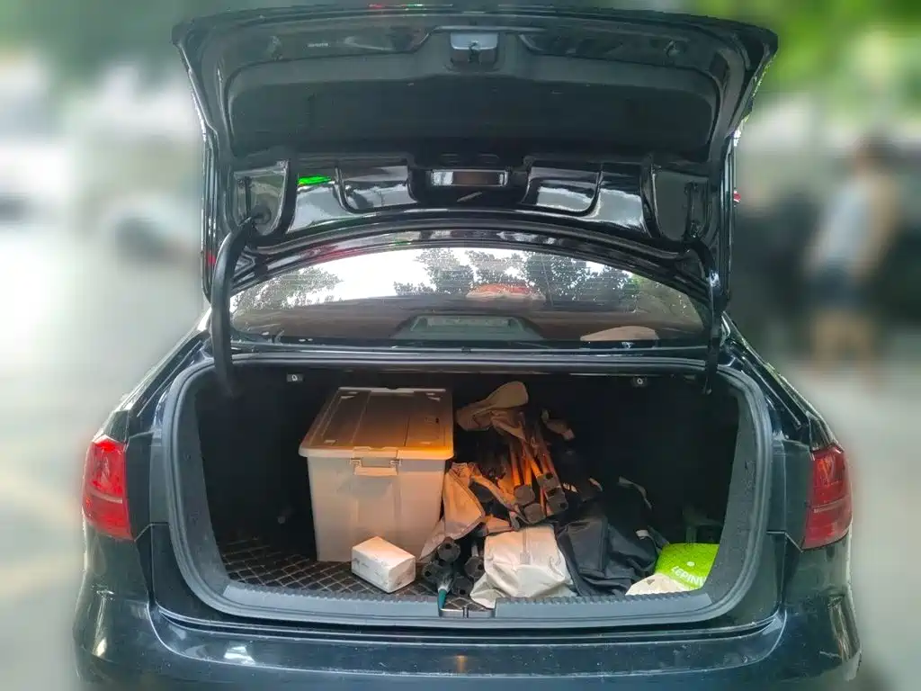 Volkswagen Sagitar — миниатюра 15