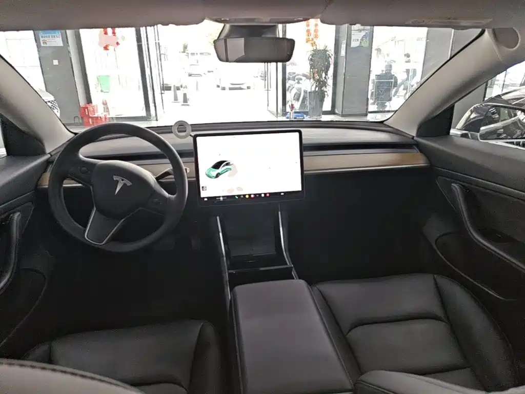 Tesla Model 3 — миниатюра 10