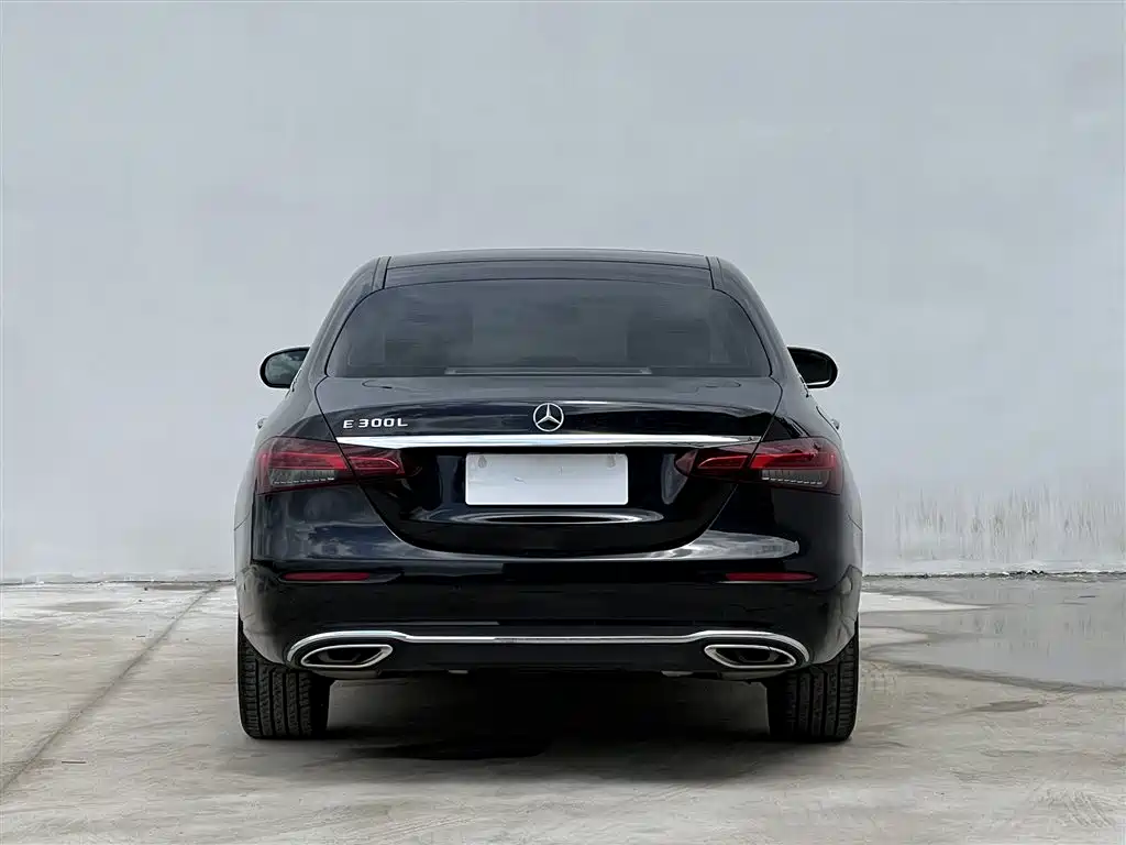 Mercedes-Benz E-Class E 2023 E 300 L Luxury