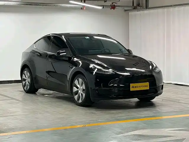 Tesla Model Y — миниатюра 2