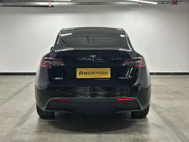 Tesla Model Y — миниатюра 6
