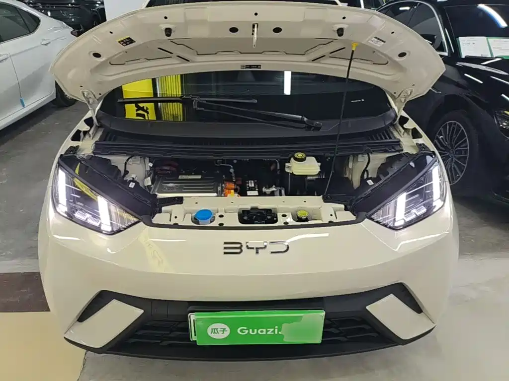 BYD Seagull — миниатюра 20