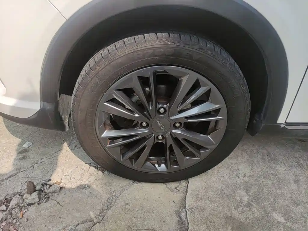 Neta Neta V — миниатюра 25