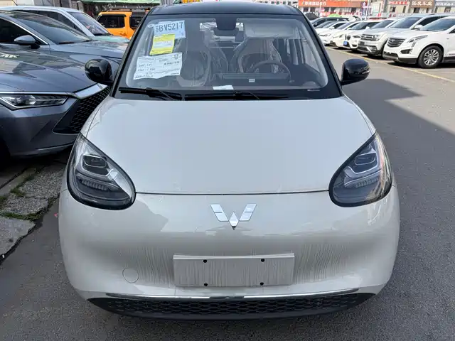 2026 Wuling Motors Binguo