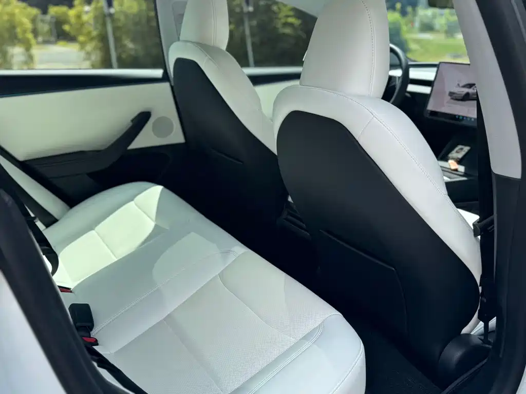 Tesla Model 3 — миниатюра 13