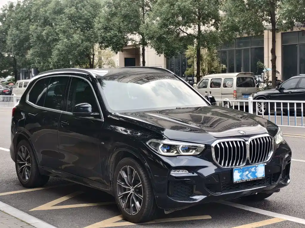 BMW X5 (Import) — миниатюра 3