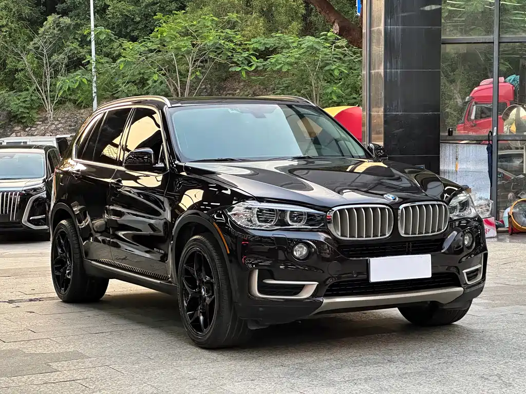 BMW X5 (Import) — миниатюра 3