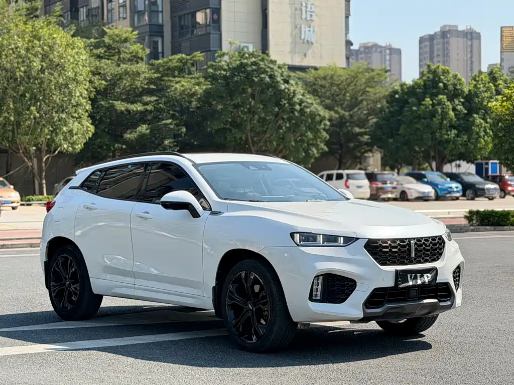 WEI PAI WEI BRAND VV7