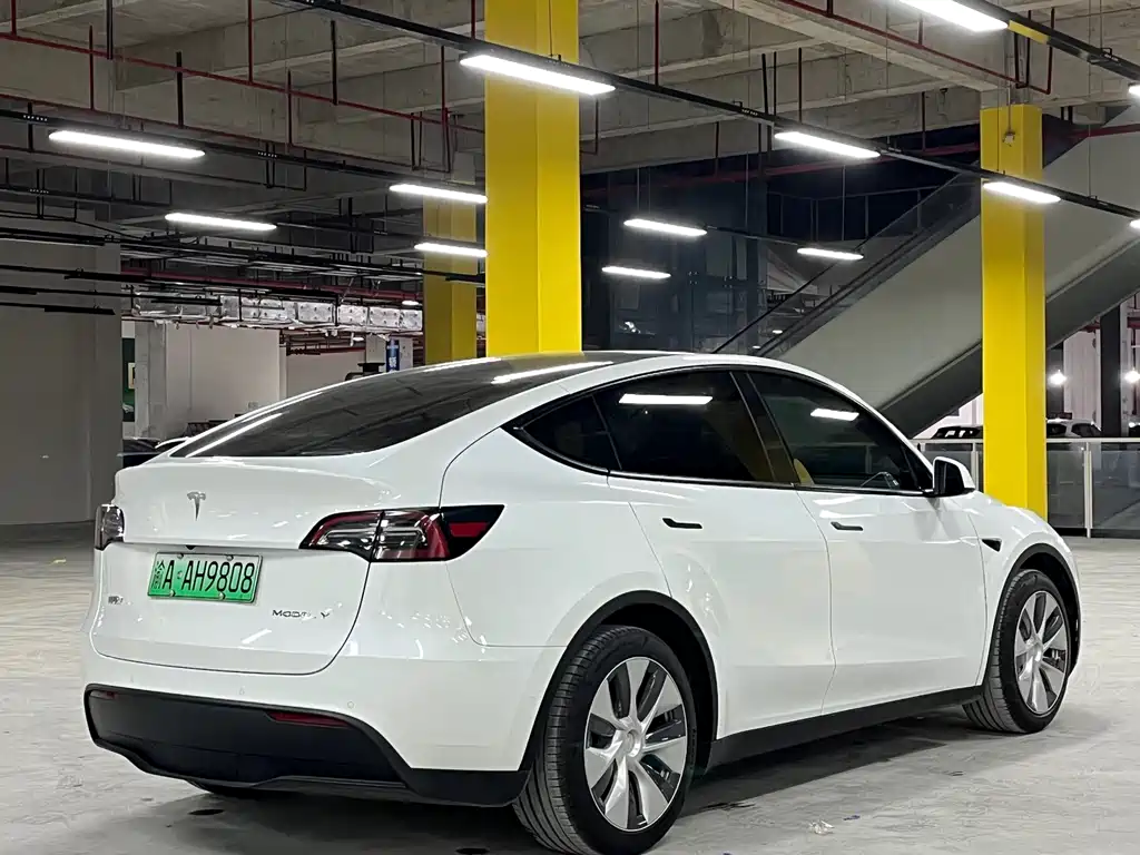 Tesla Model Y — миниатюра 4