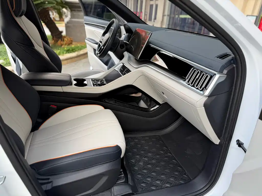 BYD PLUS New Energy — миниатюра 6