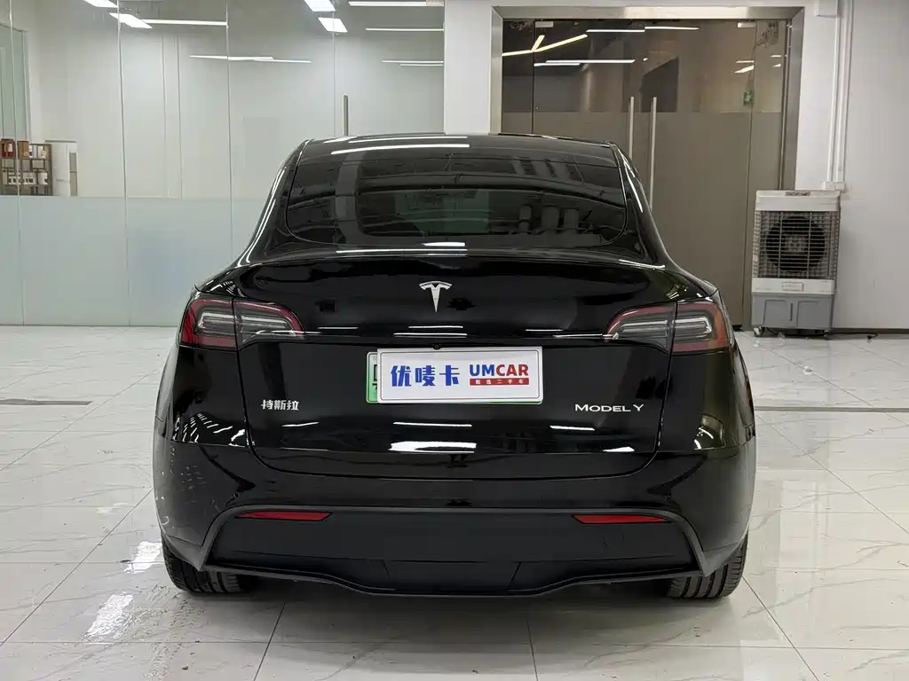 Tesla Model Y — миниатюра 5