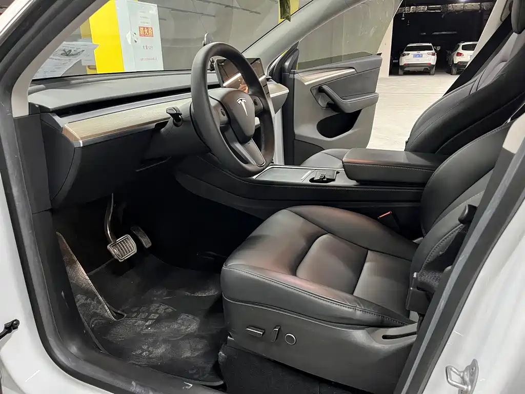 Tesla Model Y — миниатюра 10