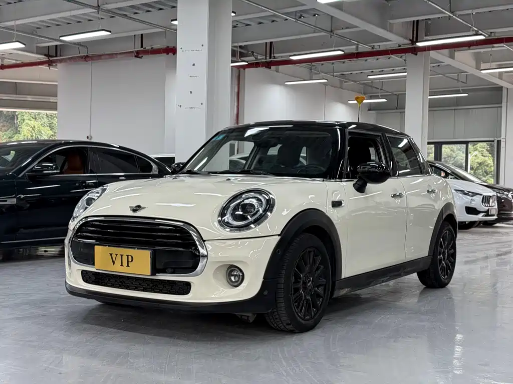 Mini Mini 2020