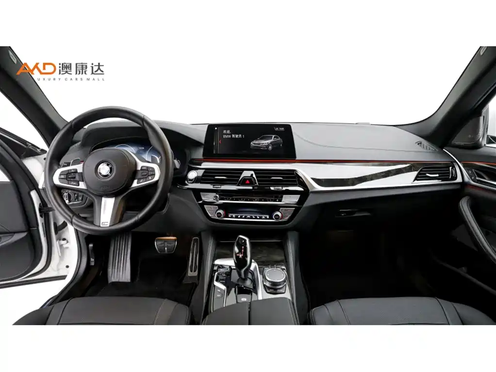 BMW 5 Series — миниатюра 5