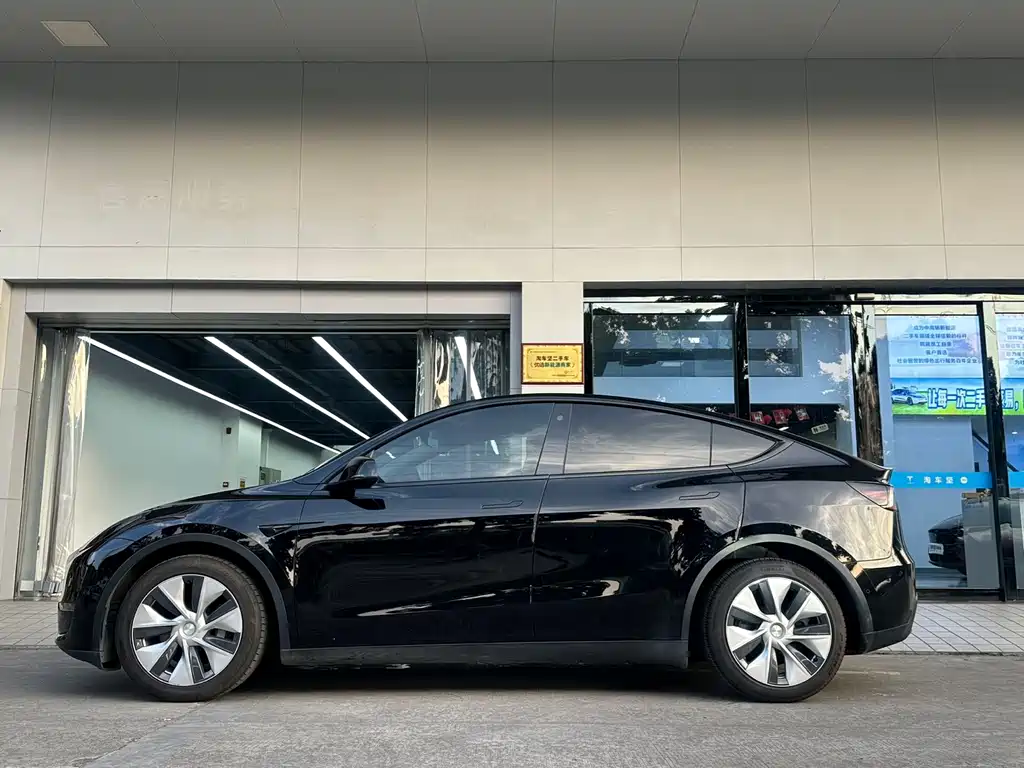 Tesla Model Y — миниатюра 2