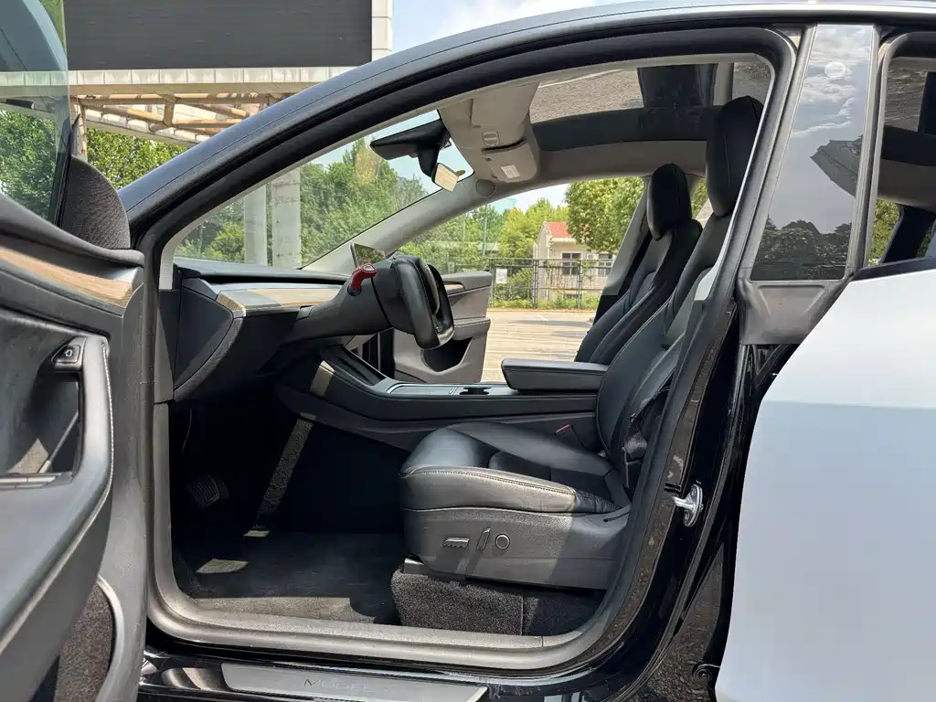 Tesla Model Y — миниатюра 8