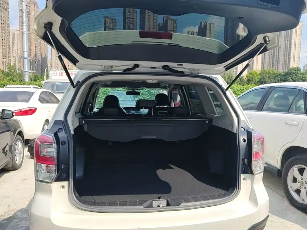 Subaru Forester — миниатюра 19