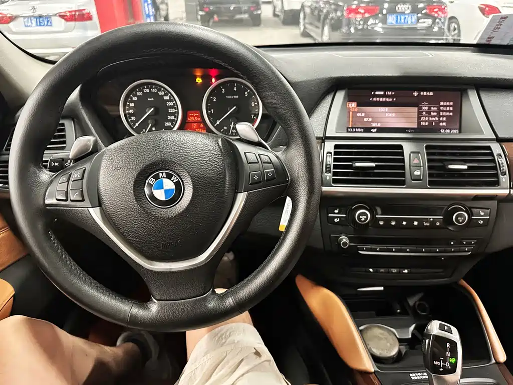BMW X6 — миниатюра 12