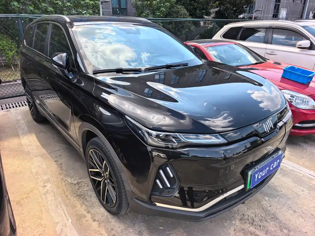 WM Motor EX6 — миниатюра 3