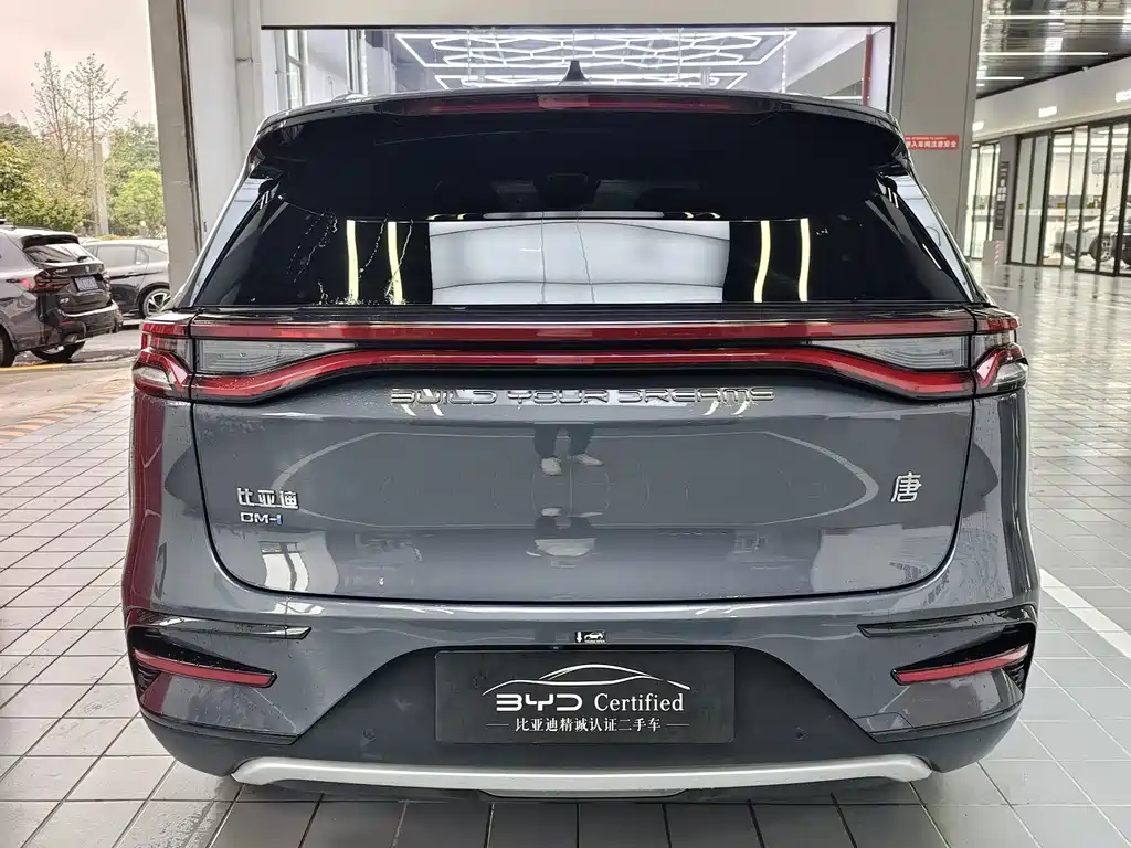 BYD Tang New Energy — миниатюра 10