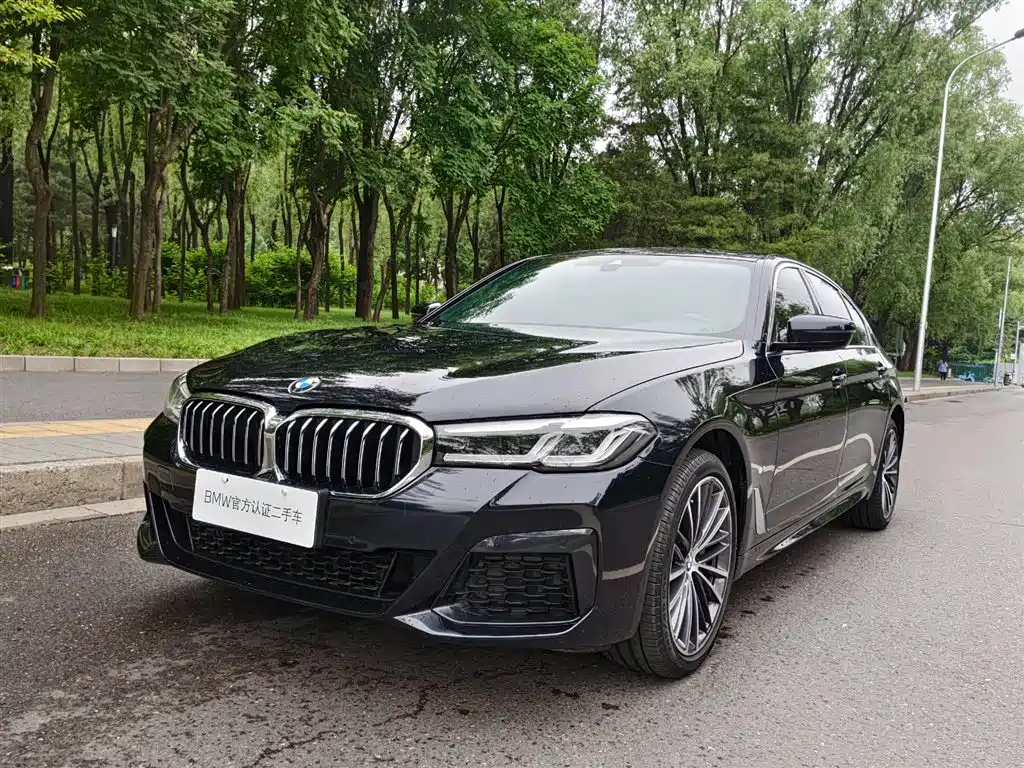 Купить BMW 5 Series