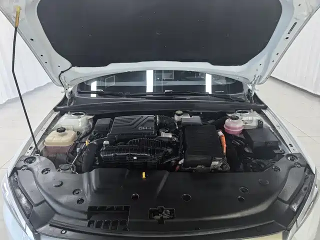 BYD Qin Plus PLUS 2023 Champion DM-i 55KM Lead