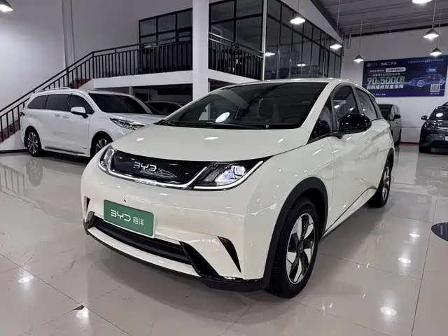 BYD Dolphin