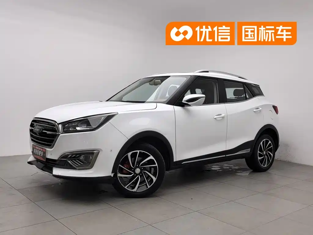 Zotye Zotye T300