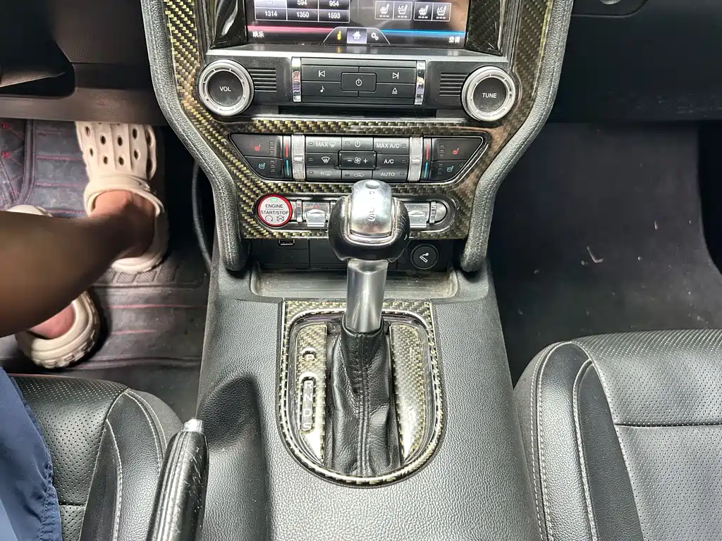 Ford Mustang — миниатюра 11