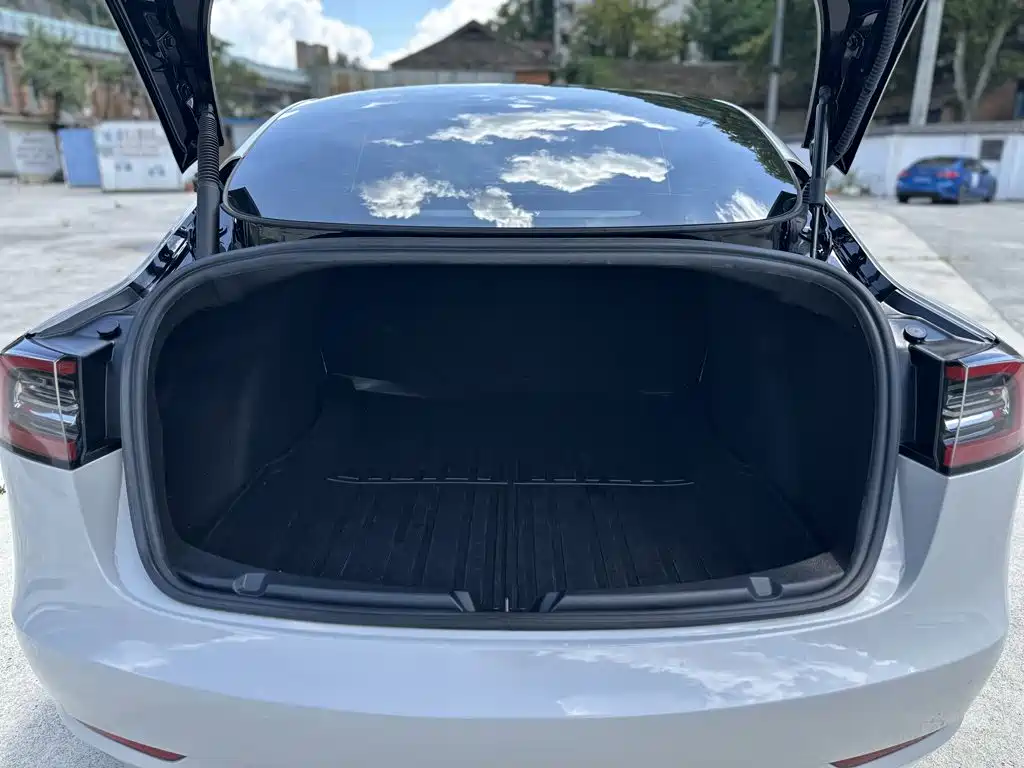 Tesla Model 3 — миниатюра 19