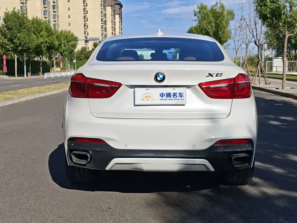 BMW X6 — миниатюра 25