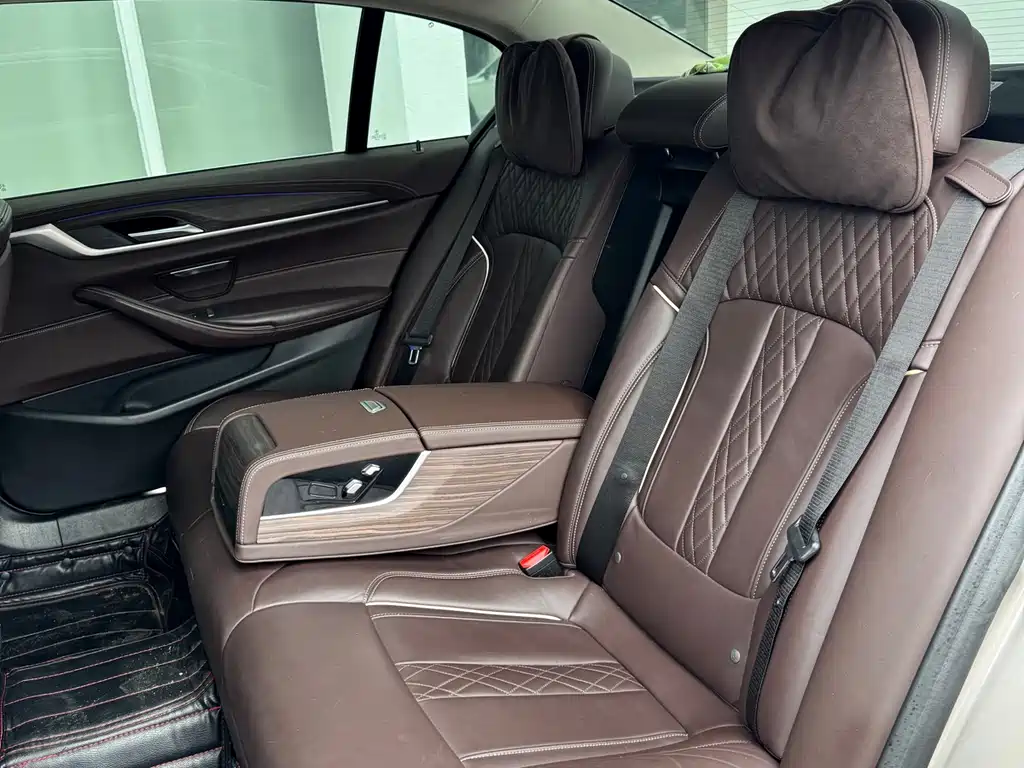BMW 5 Series 5 2020 530Le Luxury